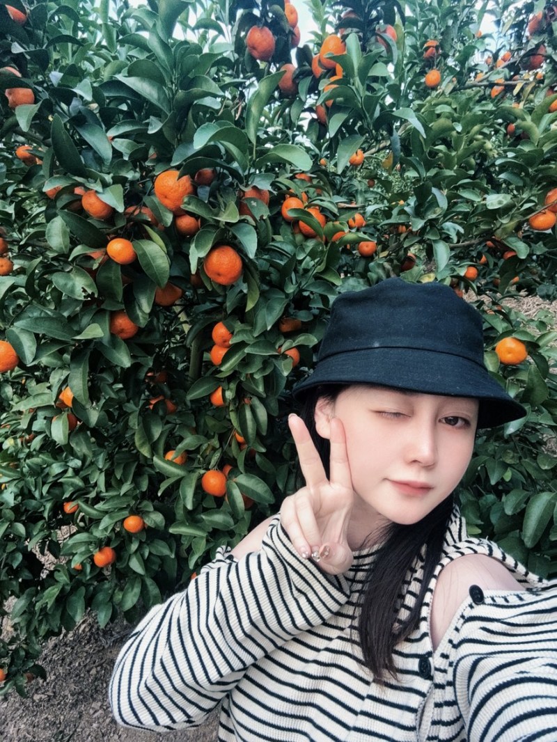 广西沙糖橘产地直发大量有货需要的老板联系