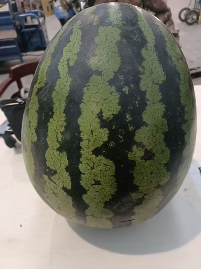 云南甜王西瓜清甜可口价格美丽整车有货欢迎询价热卖