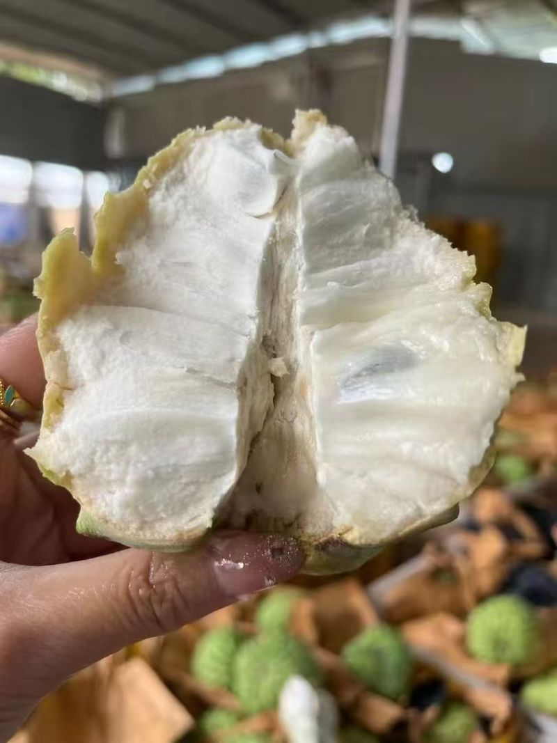 释迦果台湾释迦果（量大从优）规格齐全，对接电商市场批发商