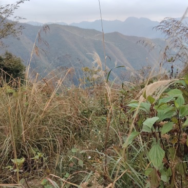 又出来干货了兄弟们，难搞啊，天气不景气啊