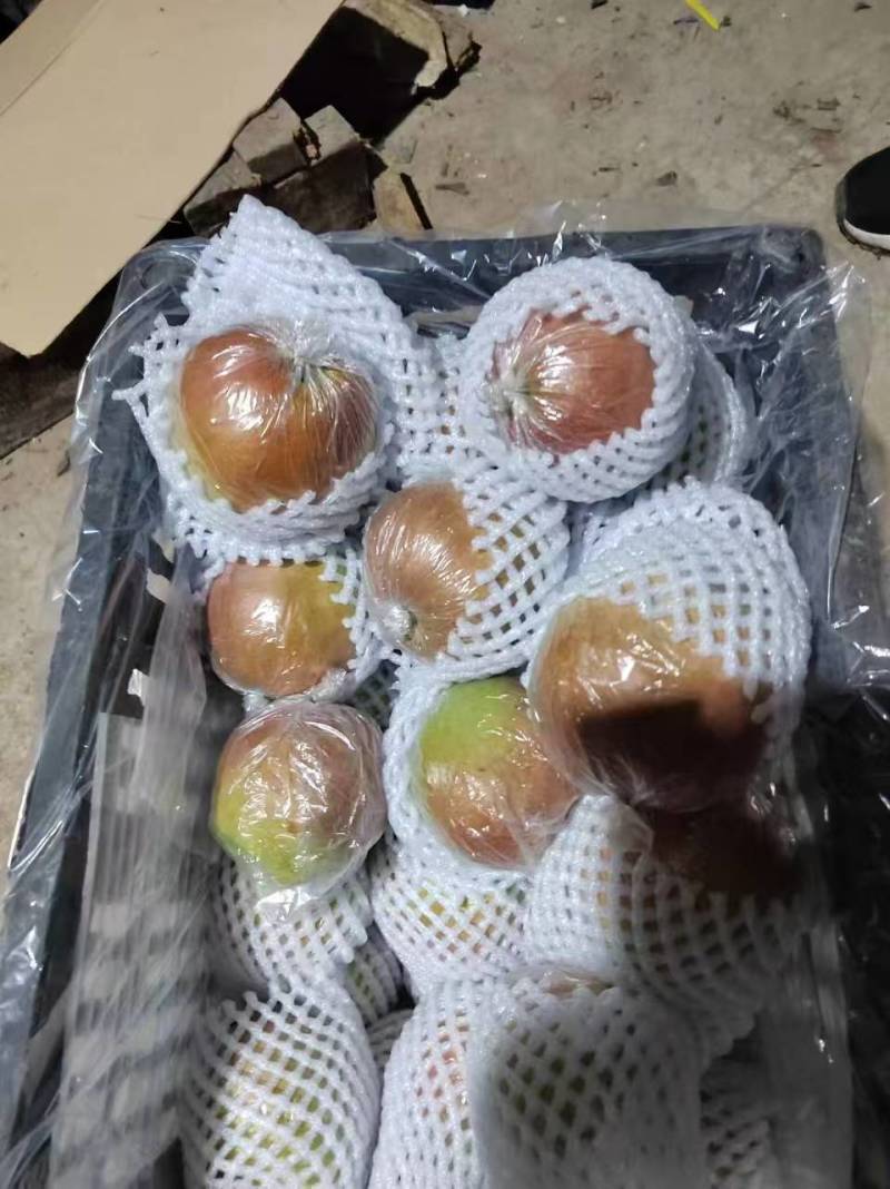 【酥脆无渣】玉露香梨梨中贵族皮薄核小保质保量