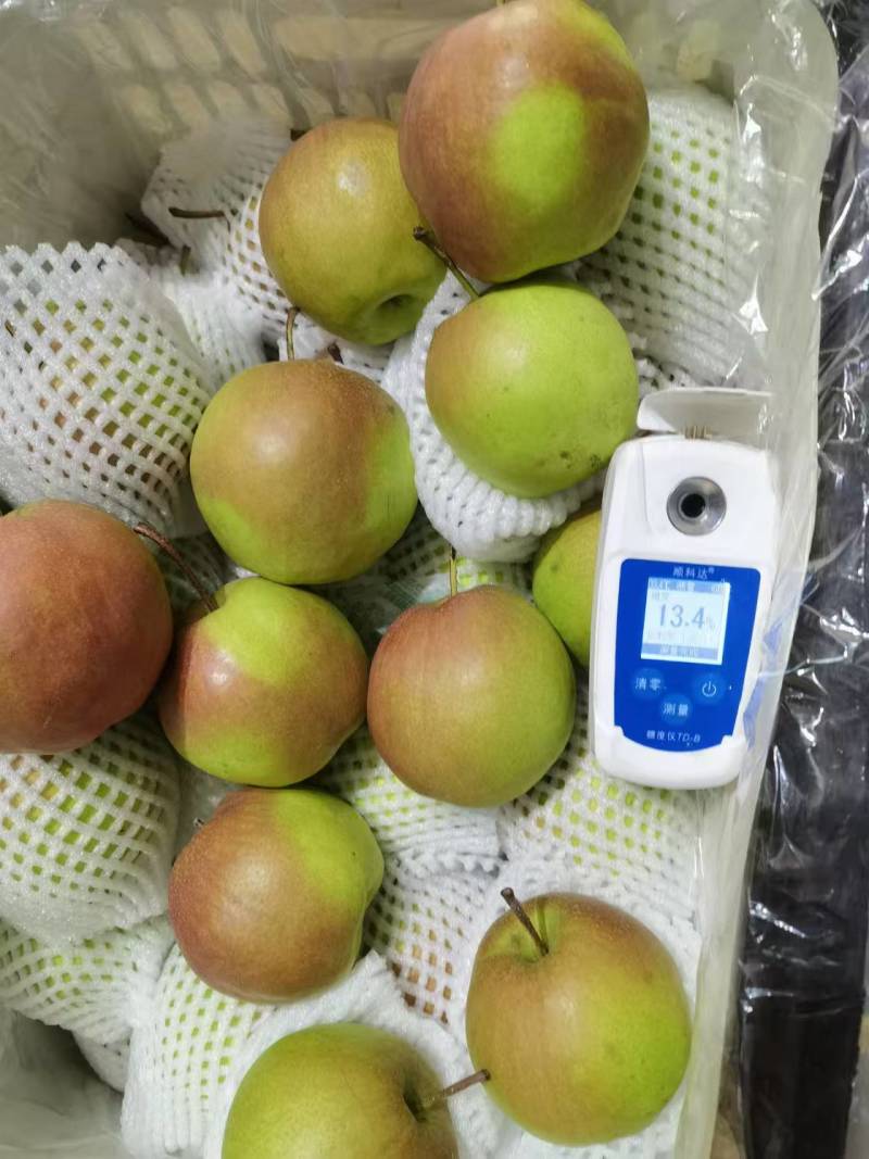 【酥脆无渣】玉露香梨梨中贵族皮薄核小保质保量