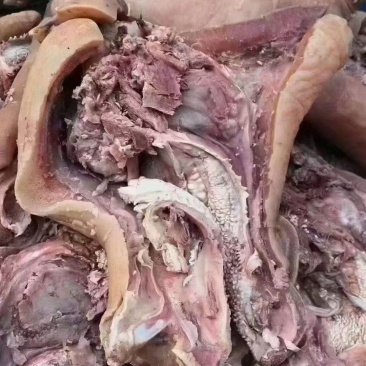 精品熟牛头肉
