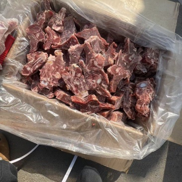 满肉羊蝎子