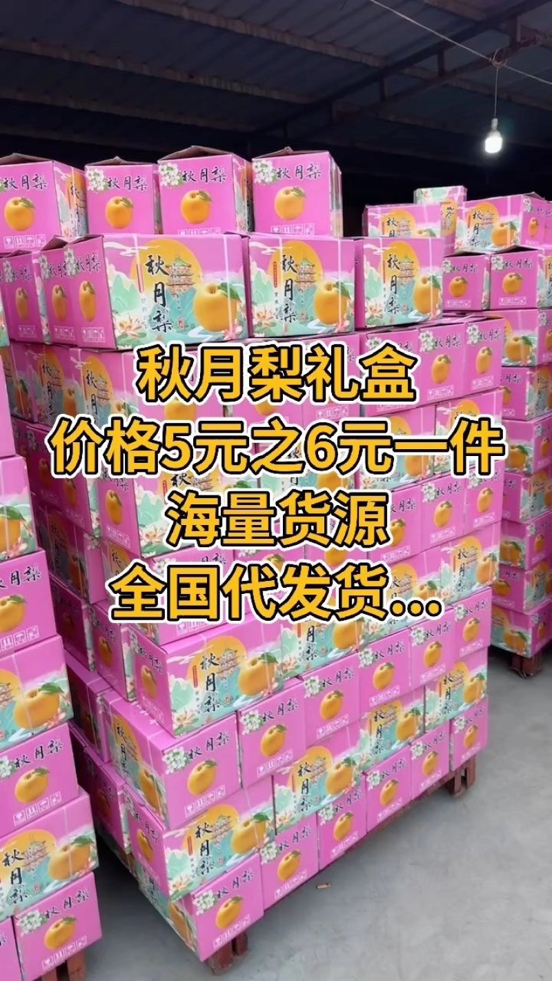 秋月梨，高，中，低档都质量保证，产地直发品质保障欢迎采购