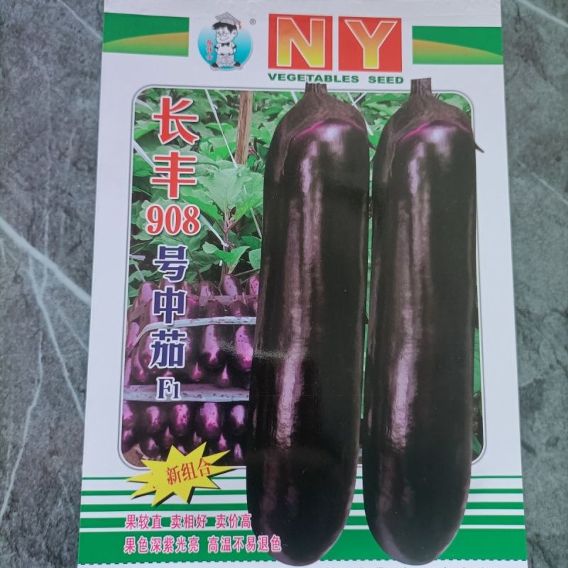 长丰908号中茄子种籽高产抗病深紫红色茄子种子农家春秋蔬