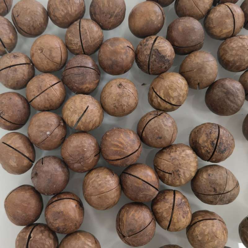 夏威夷果奶香味22-25商超货高品质