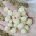 奶香味夏威夷果仁酥脆满口留香