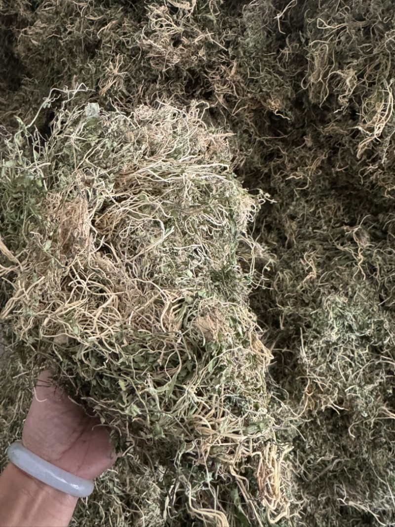 半边莲纯野生半边莲水洗干货，一手货源直供，量大从优