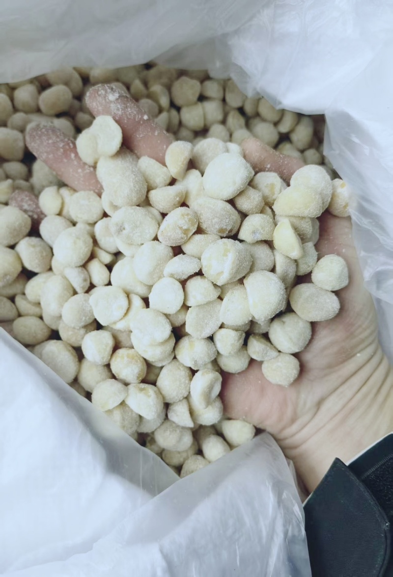 益生菌奶香味夏威夷果仁