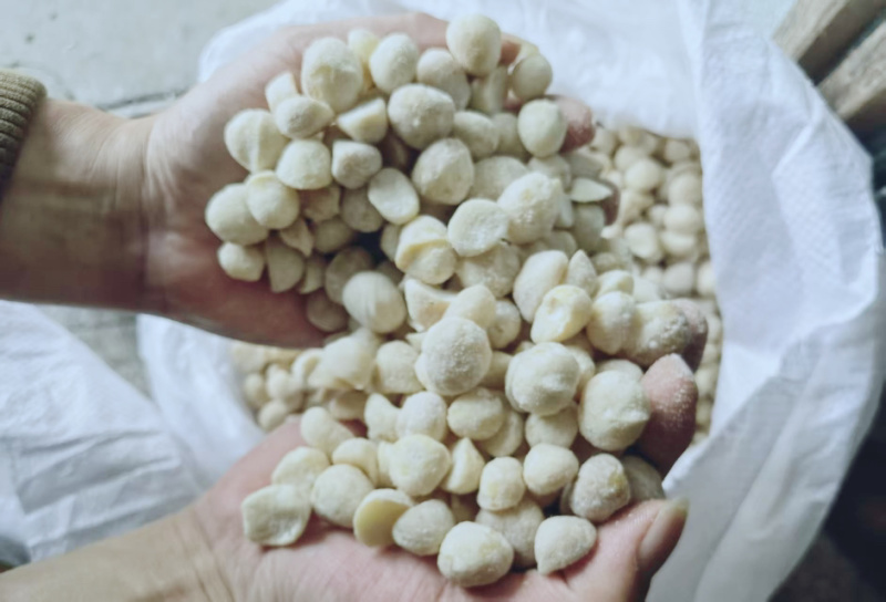 益生菌奶香味夏威夷果仁