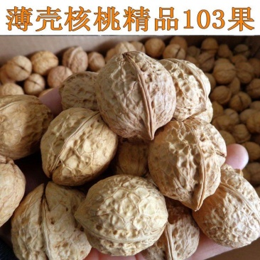 核桃云南薄皮核桃