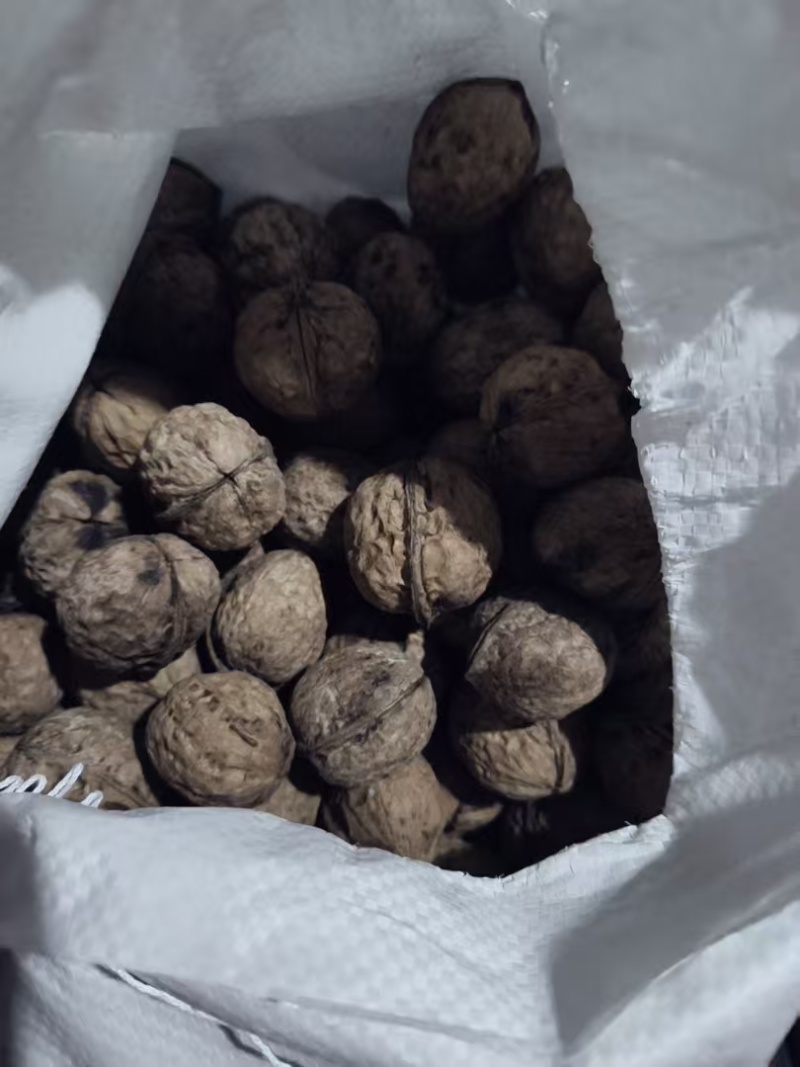 核桃云南薄皮核桃