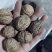 核桃云南薄皮核桃