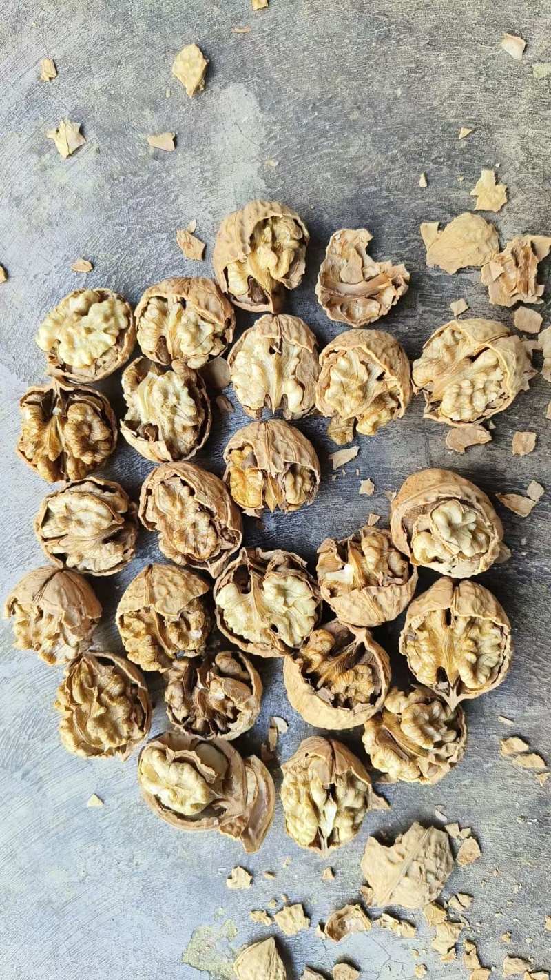 核桃云南薄皮核桃