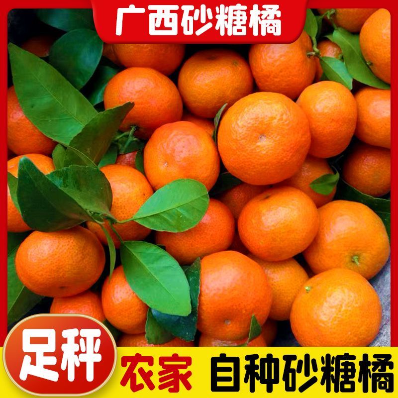 砂糖橘一件代发对接各大电商社区团购平台日供5万单