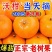 沃柑一件代发对接各大电商社区团购平台日供5万单