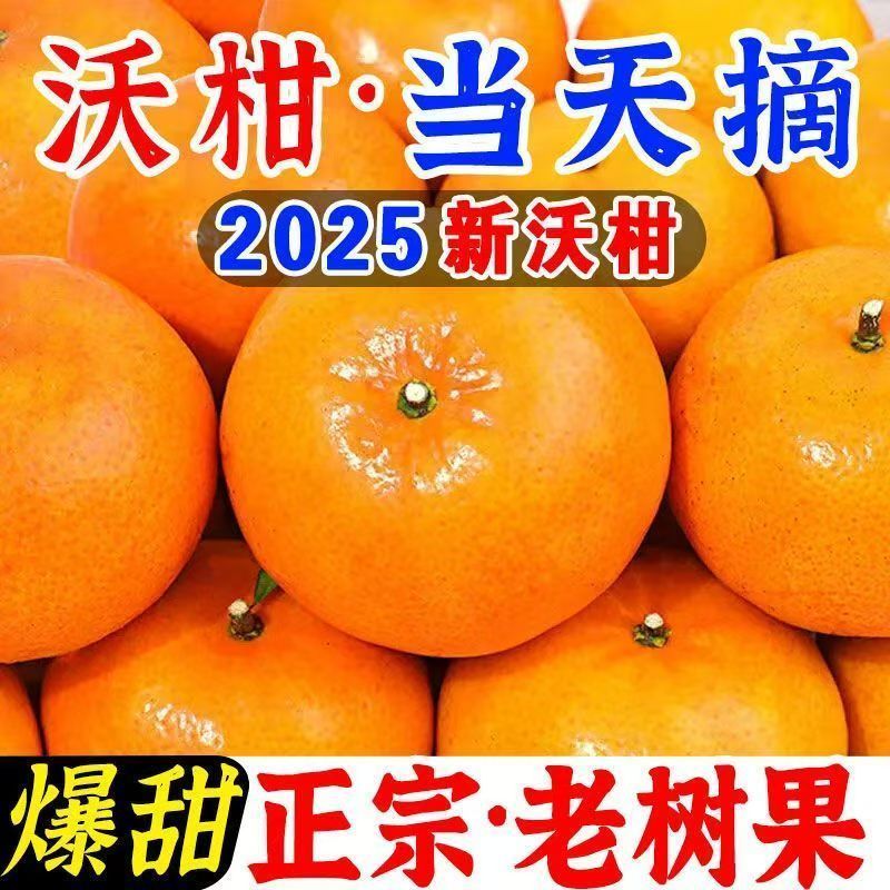 沃柑一件代发对接各大电商社区团购平台日供5万单