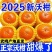 沃柑一件代发对接各大电商社区团购平台日供5万单