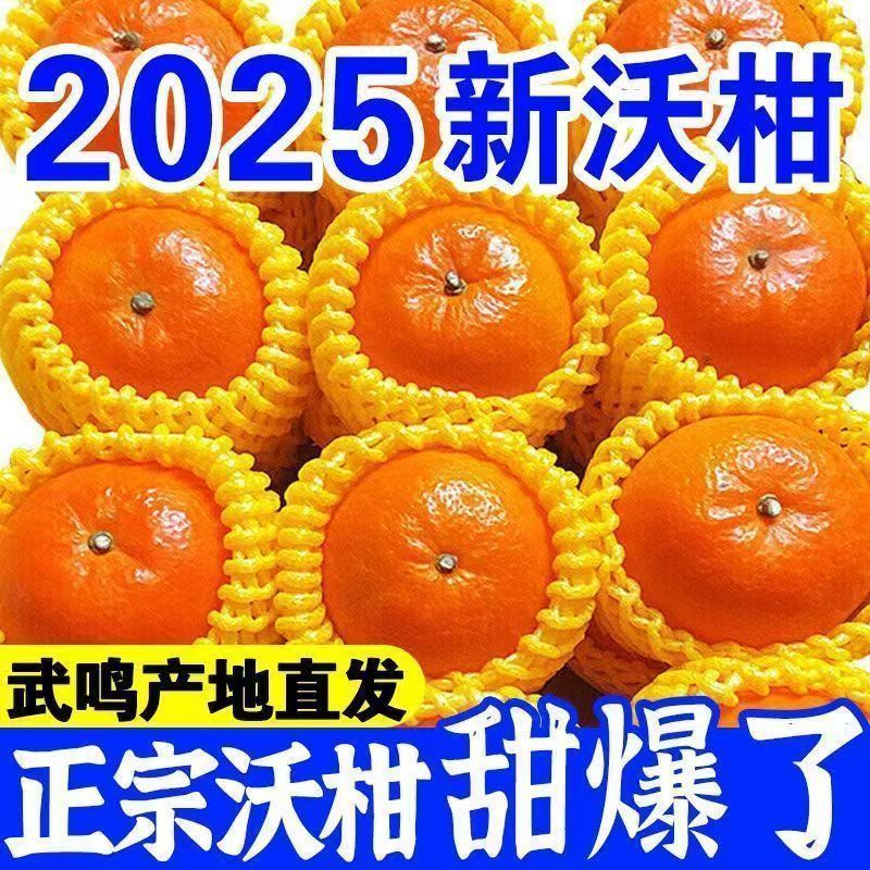 沃柑一件代发对接各大电商社区团购平台日供5万单