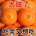 沃柑一件代发对接各大电商社区团购平台日供5万单