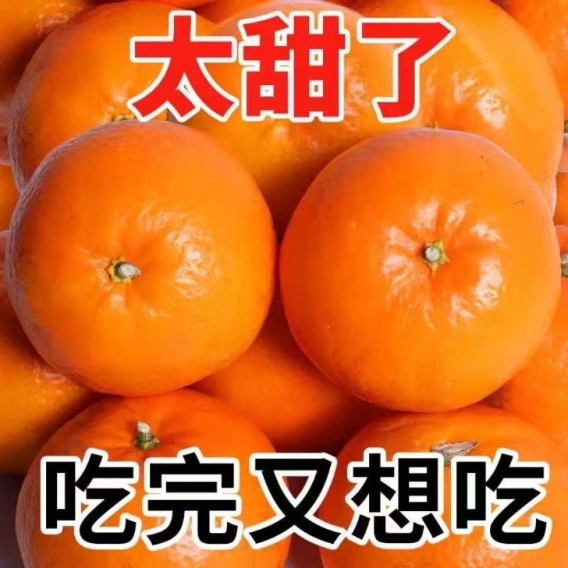 沃柑一件代发对接各大电商社区团购平台日供5万单