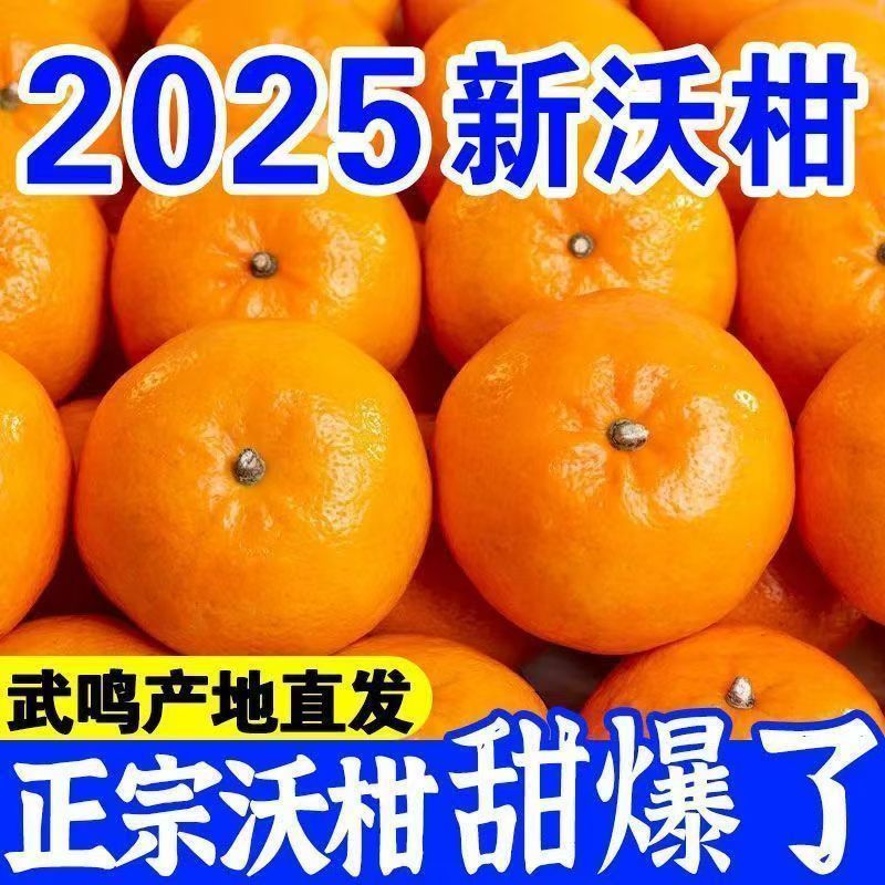 沃柑一件代发对接各大电商社区团购平台日供5万单