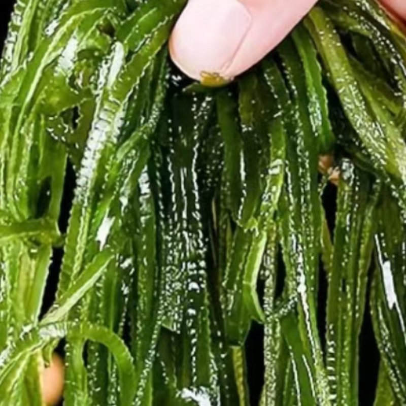 大连海带丝产地货源充足支持一件代发欢迎随时联系