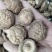 包邮精选3～4cm香菇2026新菇上市，电烘干保证品质