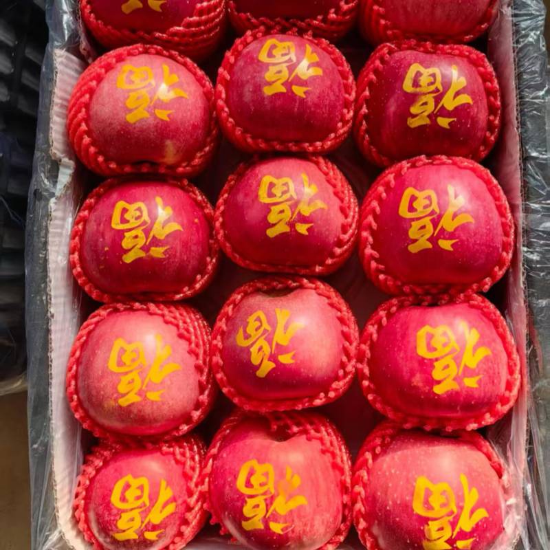 带字圣诞节圣诞果，红富士，大量库存