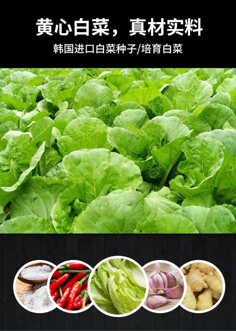 【辣白菜】