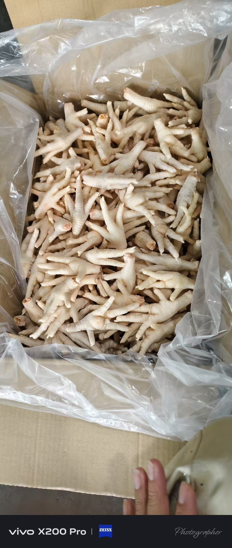凤爪规格齐全，新鲜鸡爪新鲜冷冻卤味鸡脚烧烤商用批发