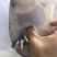 水库中华鳖甲鱼年份老，黄油不炸边。喜欢高品质