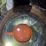 桂花鱼1-3斤批发价**信***********