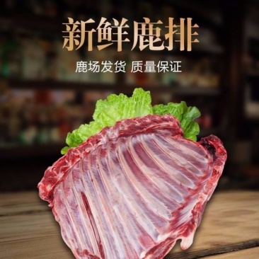 鹿排骨切段新鲜鹿排整鹿排切段发货自家鹿场直发