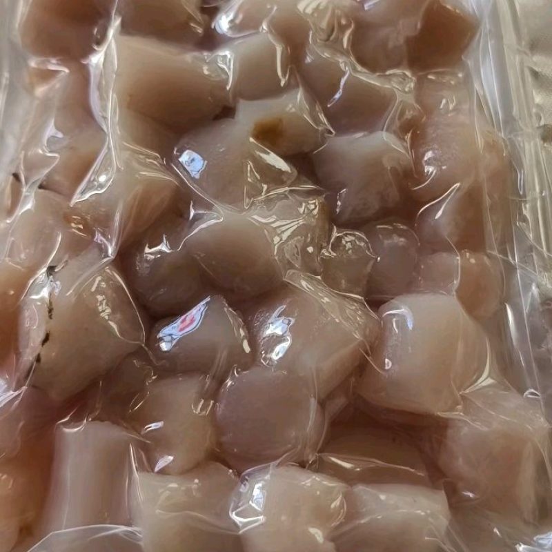 海里扇贝