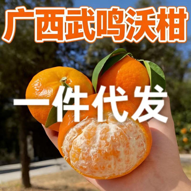 广西沃柑/电商一件代发/产地直发/武鸣沃柑/橘子/橙子