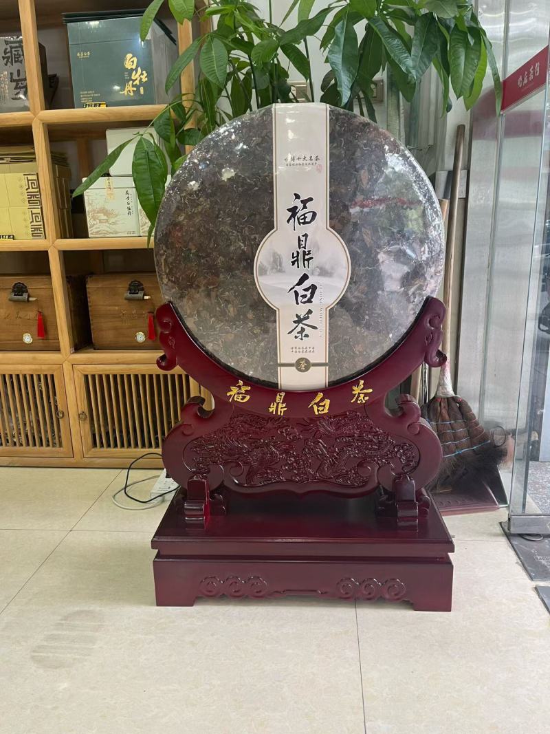 福鼎看老白茶50斤大饼