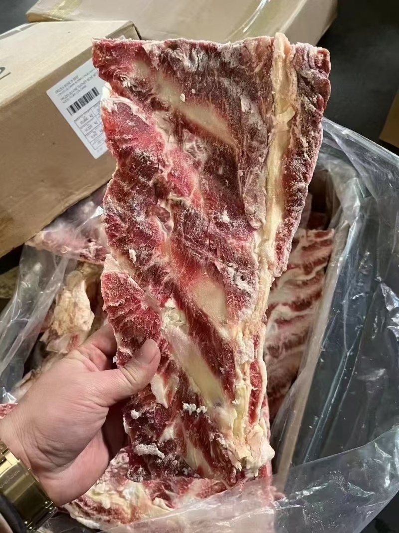 牛羽骨