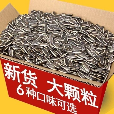内蒙古瓜子大颗粒，原味一件代发
