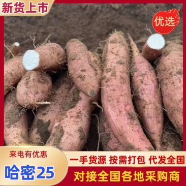 哈密红薯哈密21已糖化条行好各种规格烟薯板栗薯