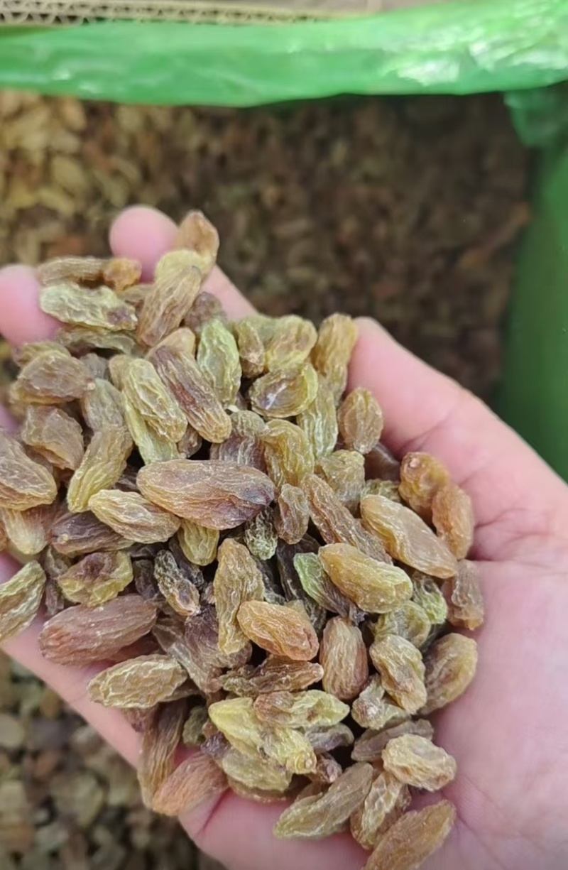 葡萄干/独立包装/手抓葡萄干/口袋零食/厂里发货