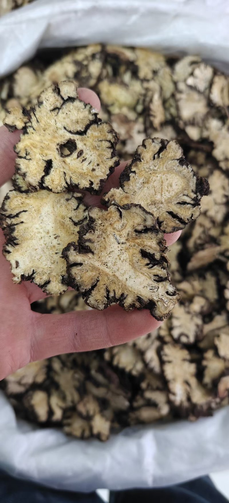 《川芎》四川川芎片薄片货干无硫磺货源充足量大从优