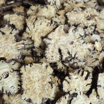 《川芎》四川川芎片薄片货干无硫磺货源充足量大从优