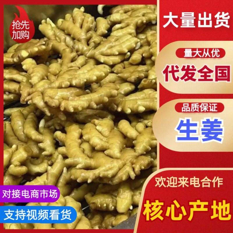生姜大黄姜小黄姜老姜姜巴按需加工价格低