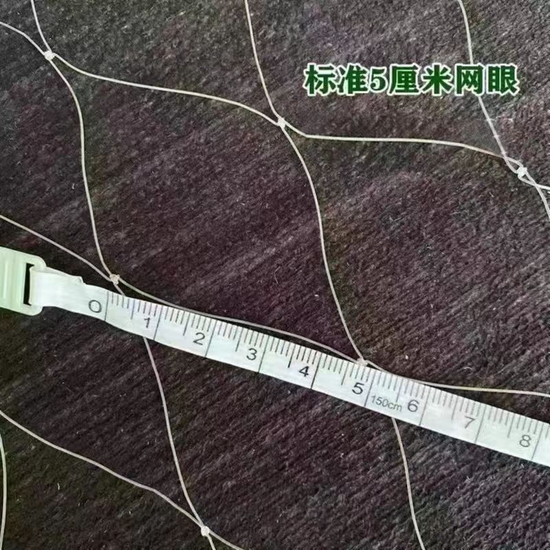 防鸟网使用寿命长一斤55到60平方果园鱼塘专用