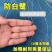 防鸟网使用寿命长一斤55到60平方果园鱼塘专用