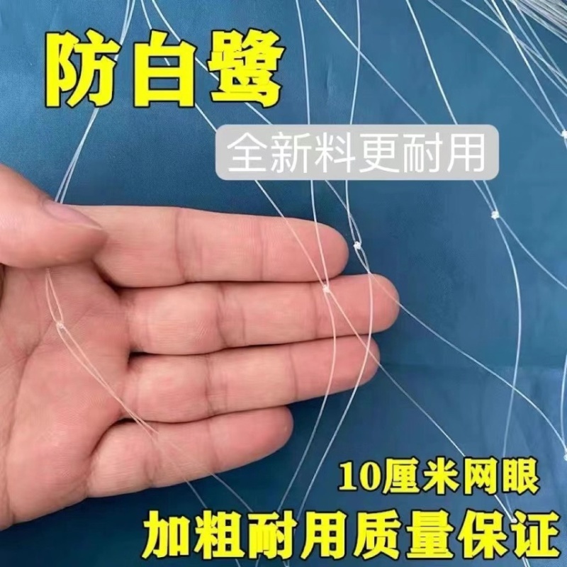 防鸟网使用寿命长一斤55到60平方果园鱼塘专用