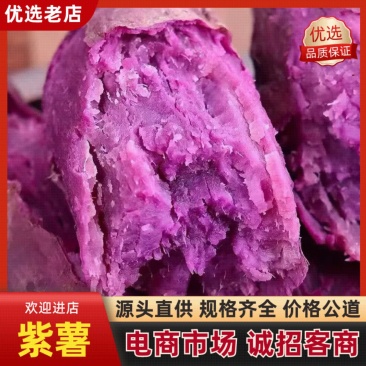紫薯香甜无丝现挖现发量大从优保质保量一条龙负责