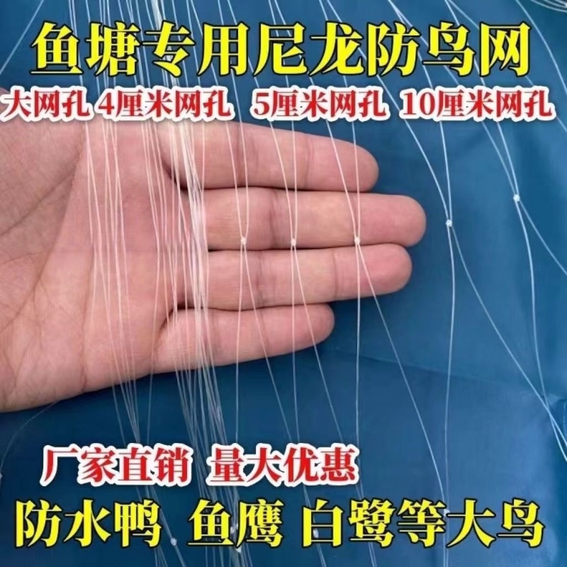 防鸟网使用寿命长一斤55到60平方果园鱼塘专用